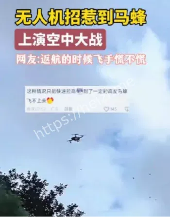 无人机遭马蜂攻击